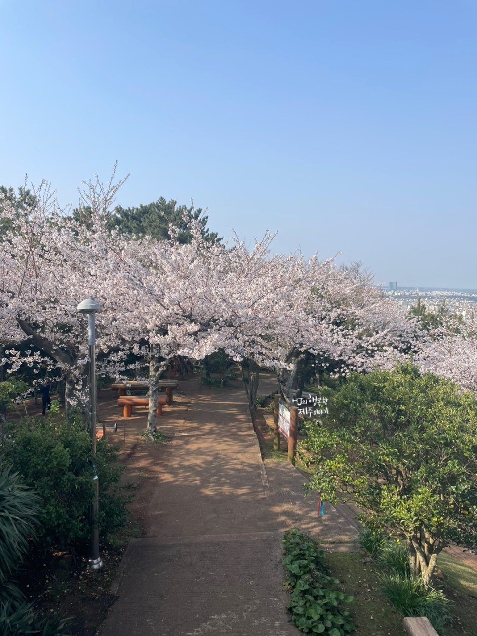 바다품은달 이미지