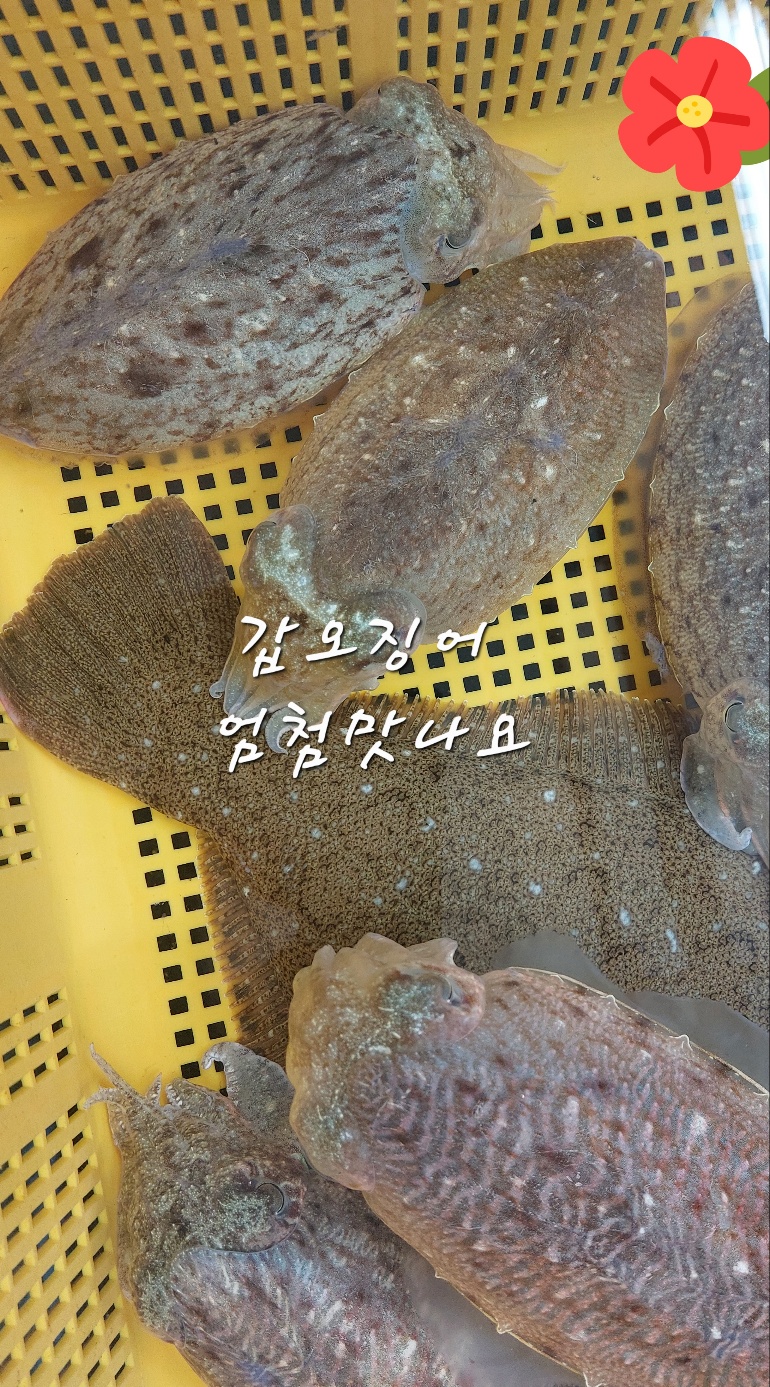 천금호 이미지
