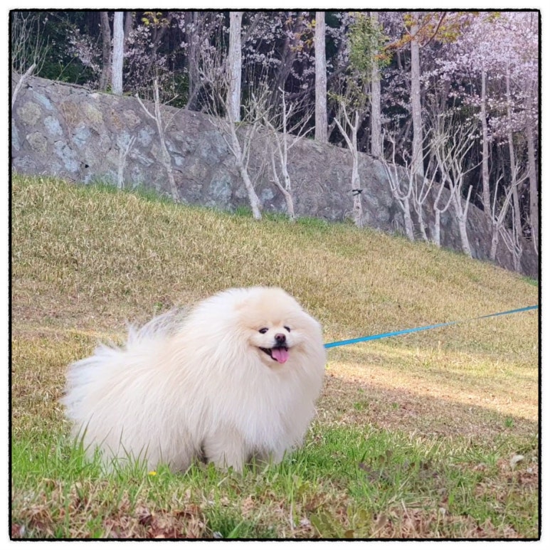 막고막창 이미지