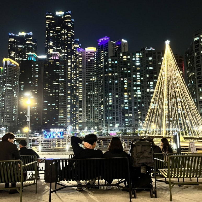 테라노래연습장 이미지