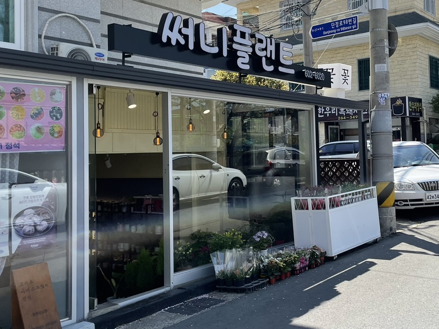 써니플랜트 이미지