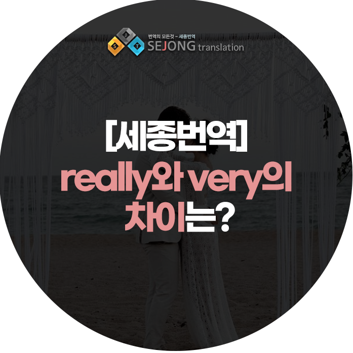 세종번역 이미지