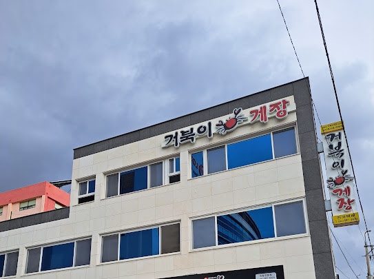 거북이 몰 이미지