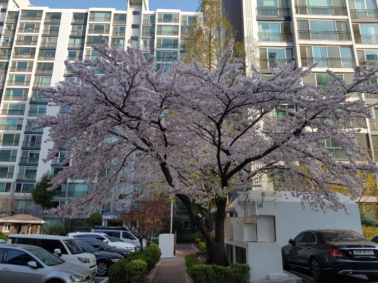 우성건재 이미지