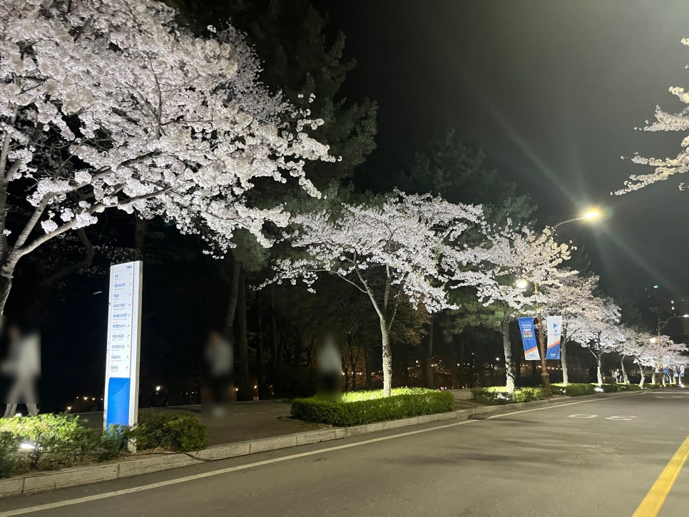 뉴욕쟁이디저트강원대점 이미지