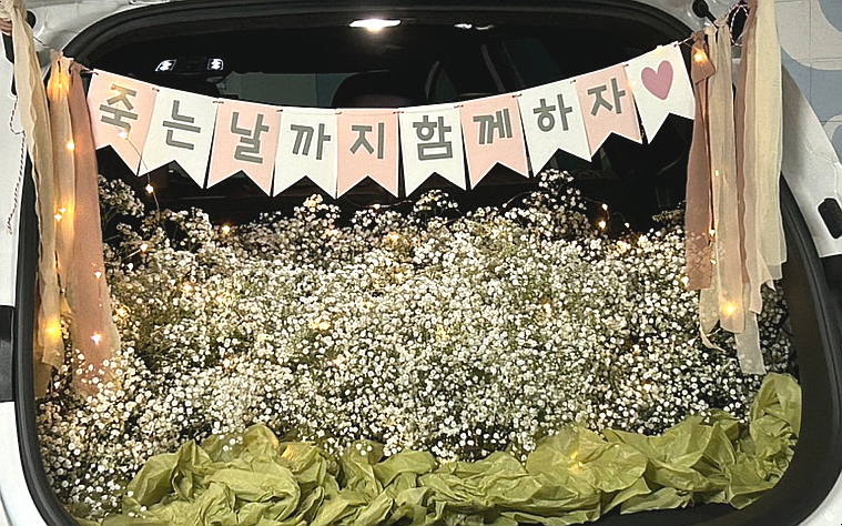 보볼리플라워 이미지