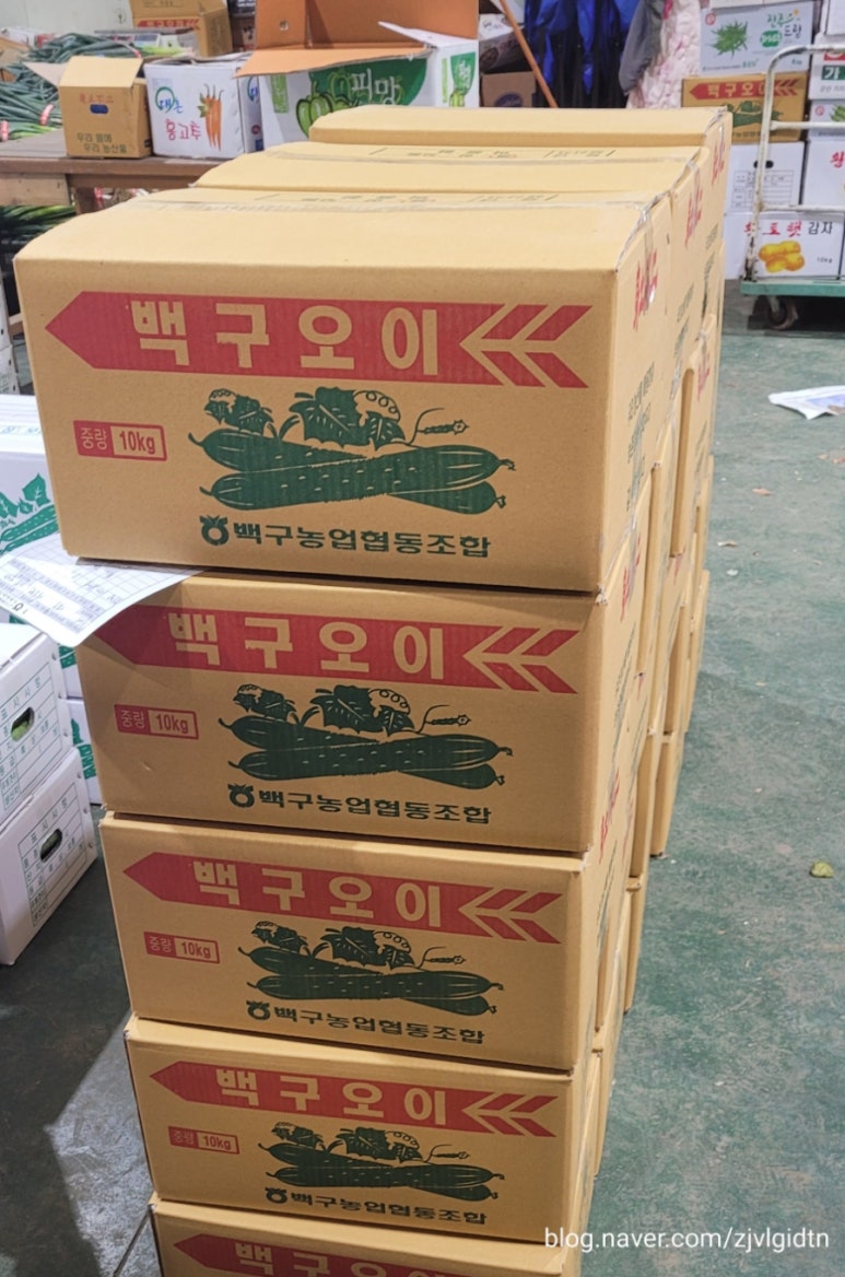 공판장70번 이미지