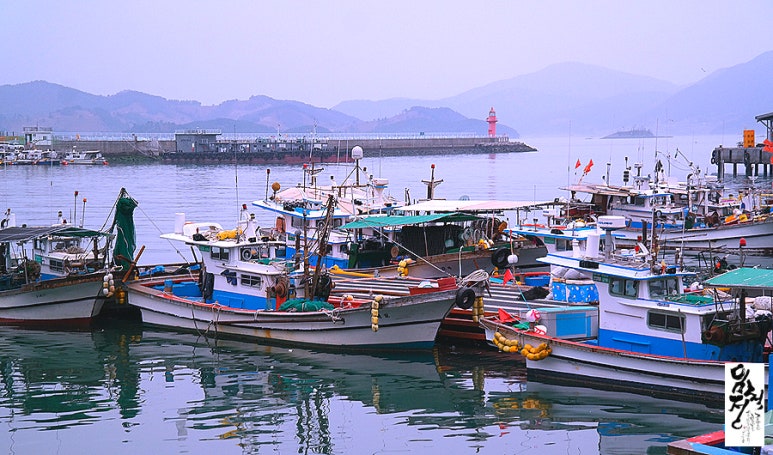 용궁수산주 이미지