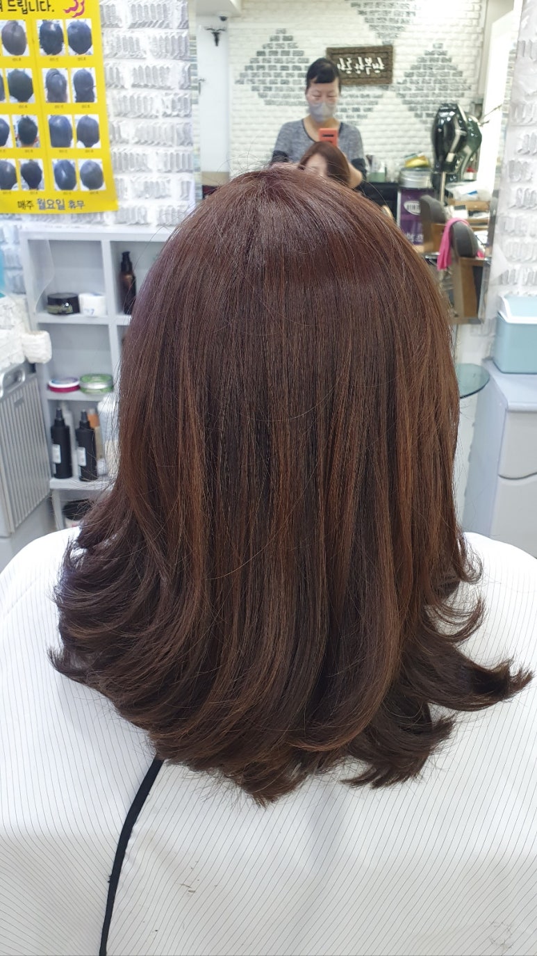준호프로헤어 이미지