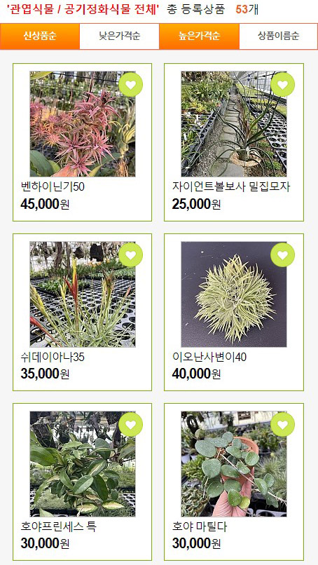 정화다방 이미지