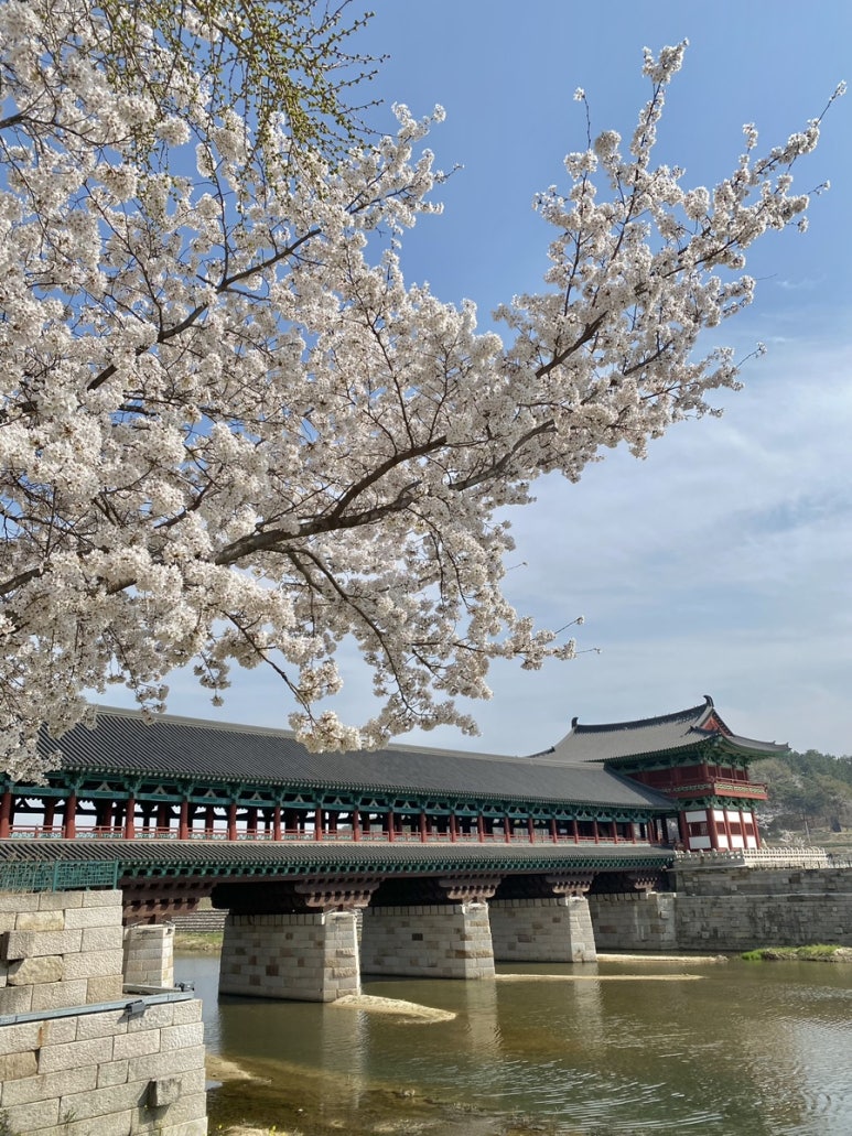 경희고성한의원 이미지