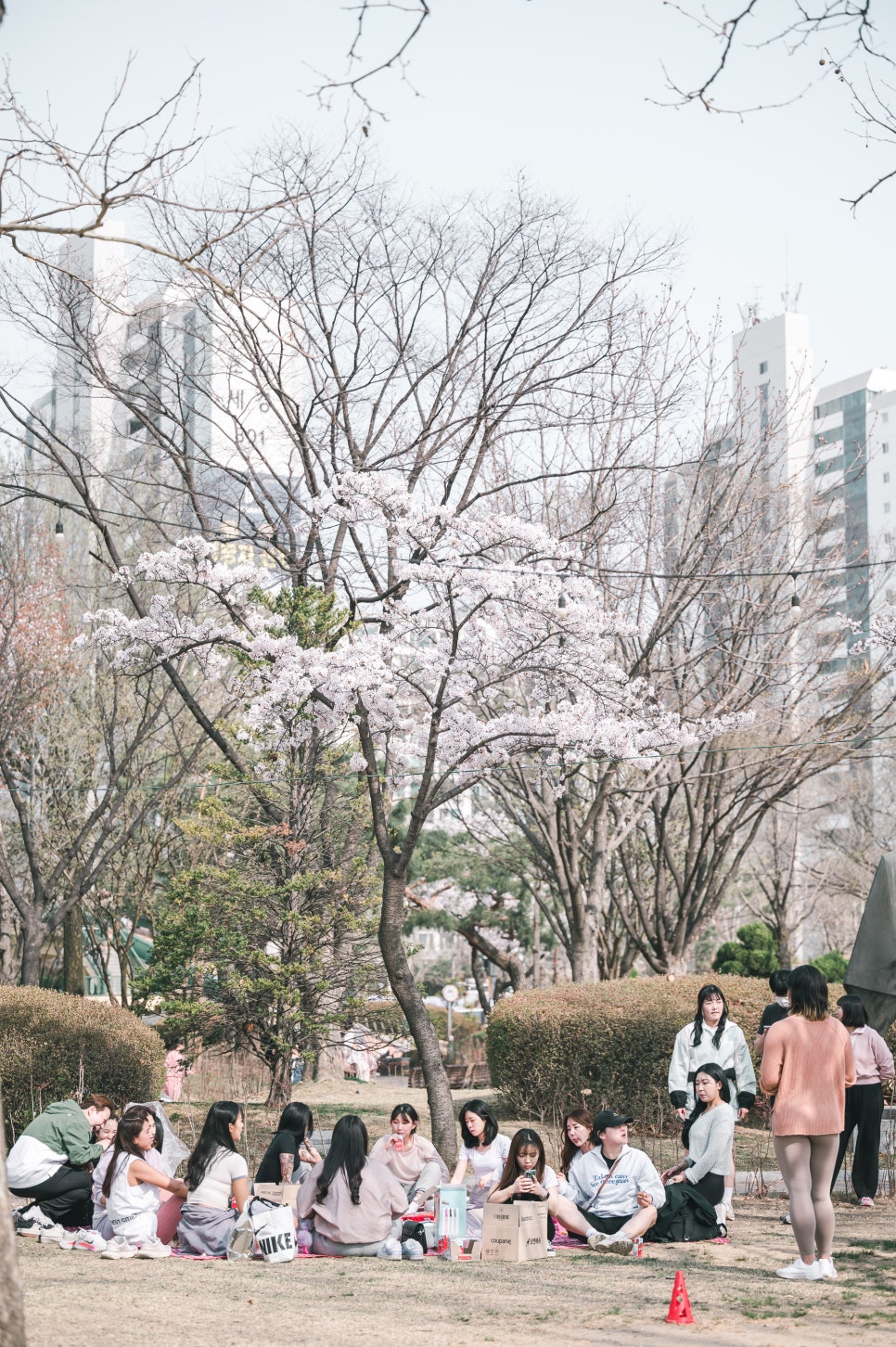 민죠이짐 이미지