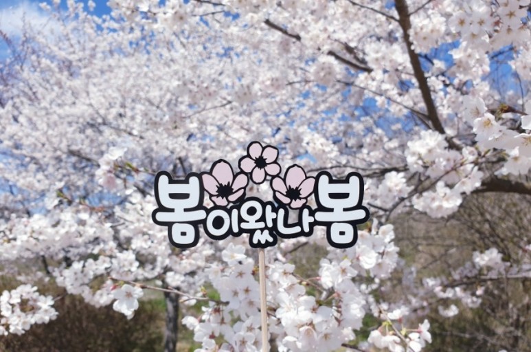 춘천미용 이미지
