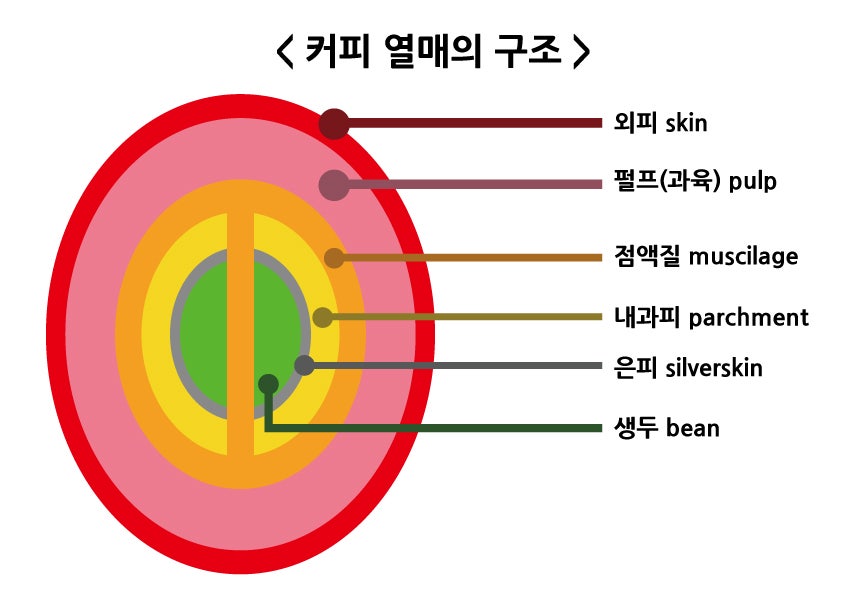 킨커피 이미지