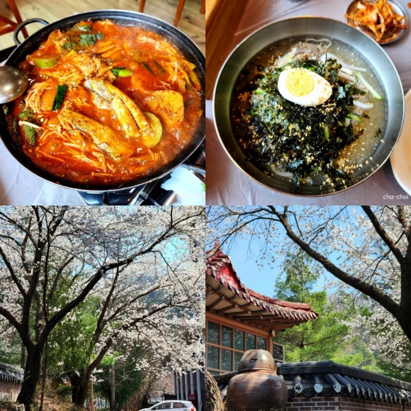 봉녀수제비 이미지