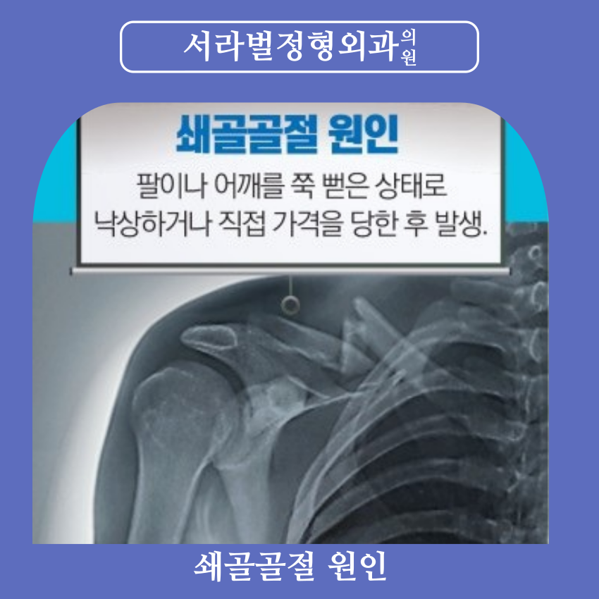 서라벌정형외과 이미지