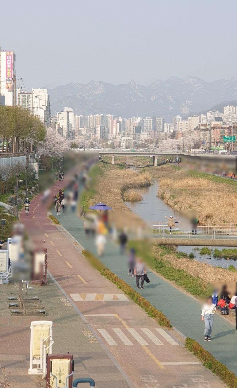 여성시대헤어타운 이미지