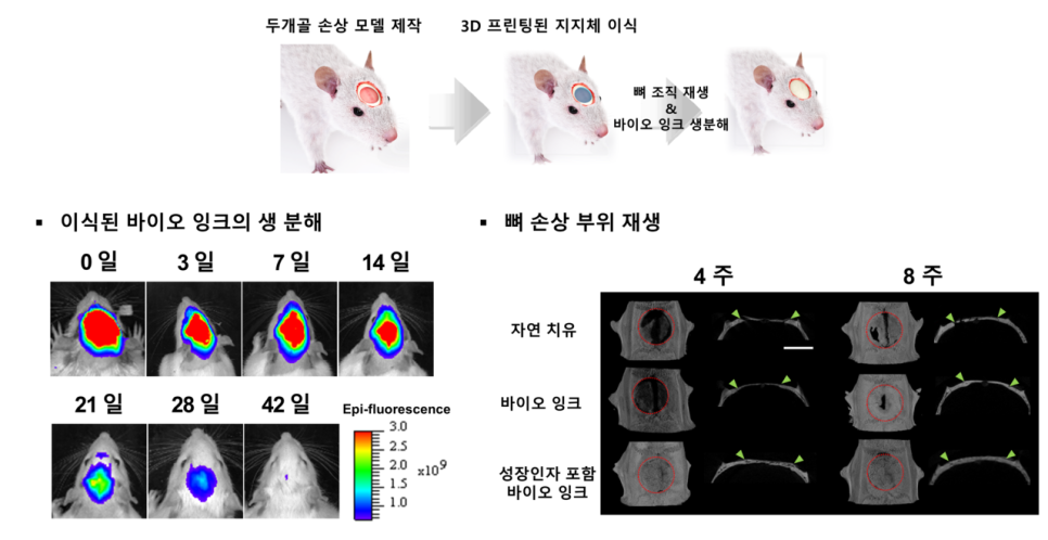 잉크박사 이미지