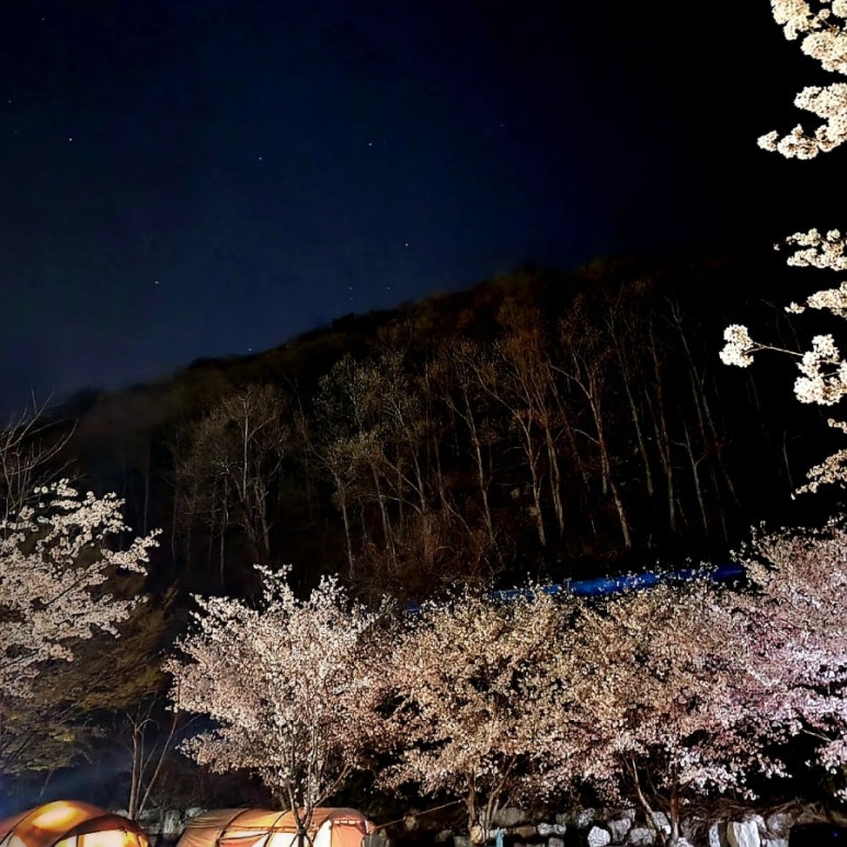 나만의풍경캠핑&펜션 이미지