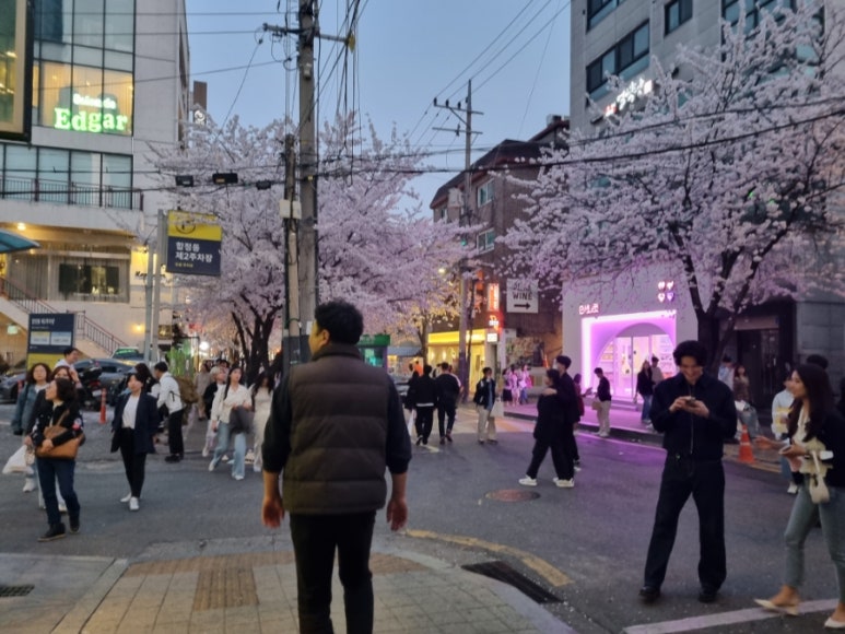 연꽃상회 이미지