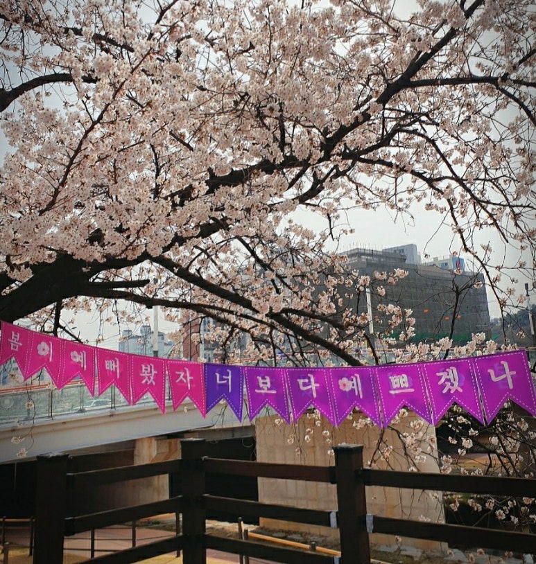 (주)케이헬스바이오 이미지