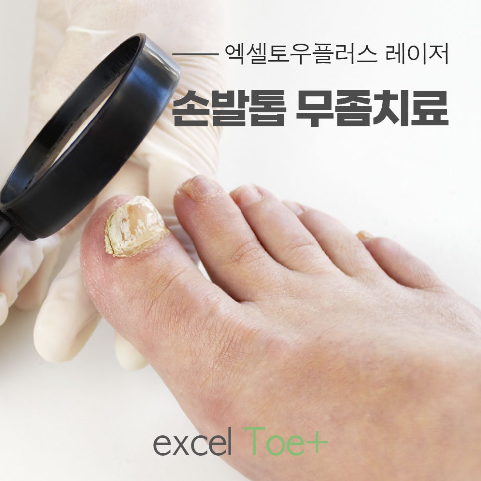 (주)토우 이미지