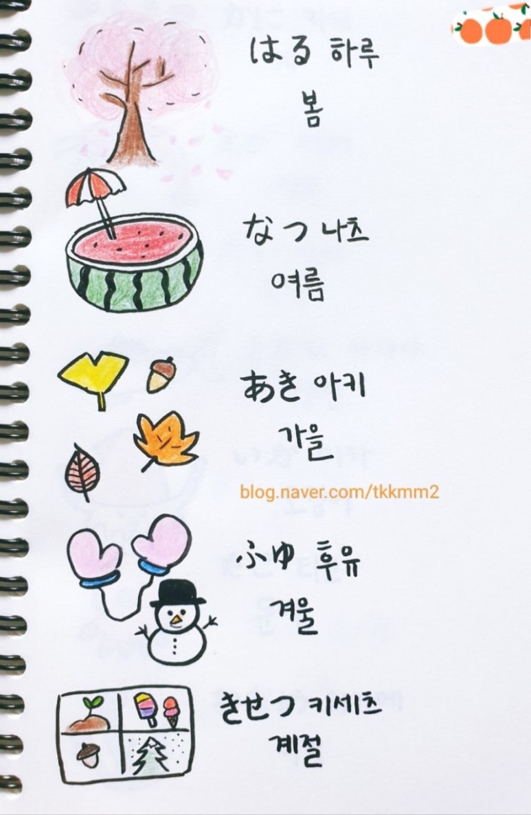 키세츠 이미지