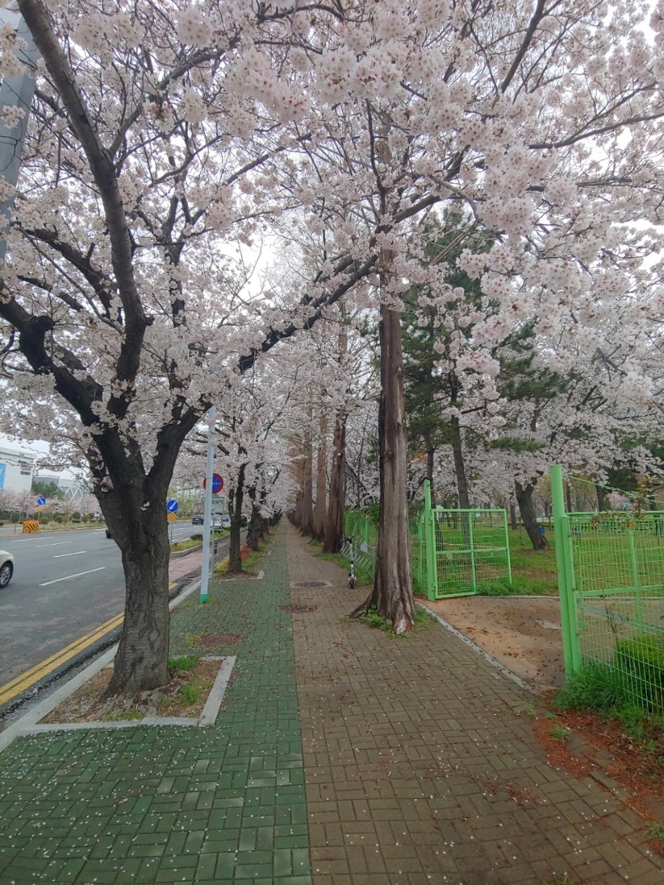 가음정횟집 이미지