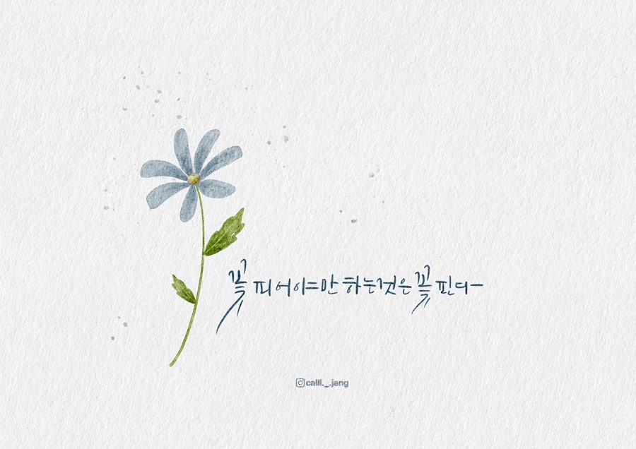 빛깔캘리그라피 이미지