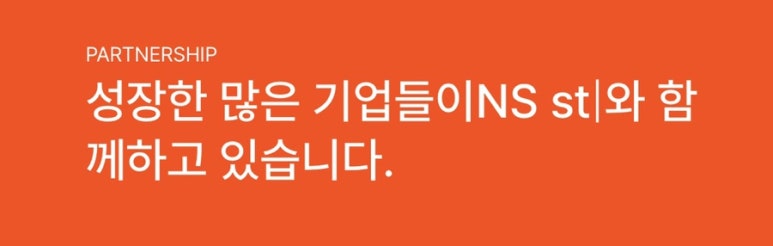 엔에스투어 이미지