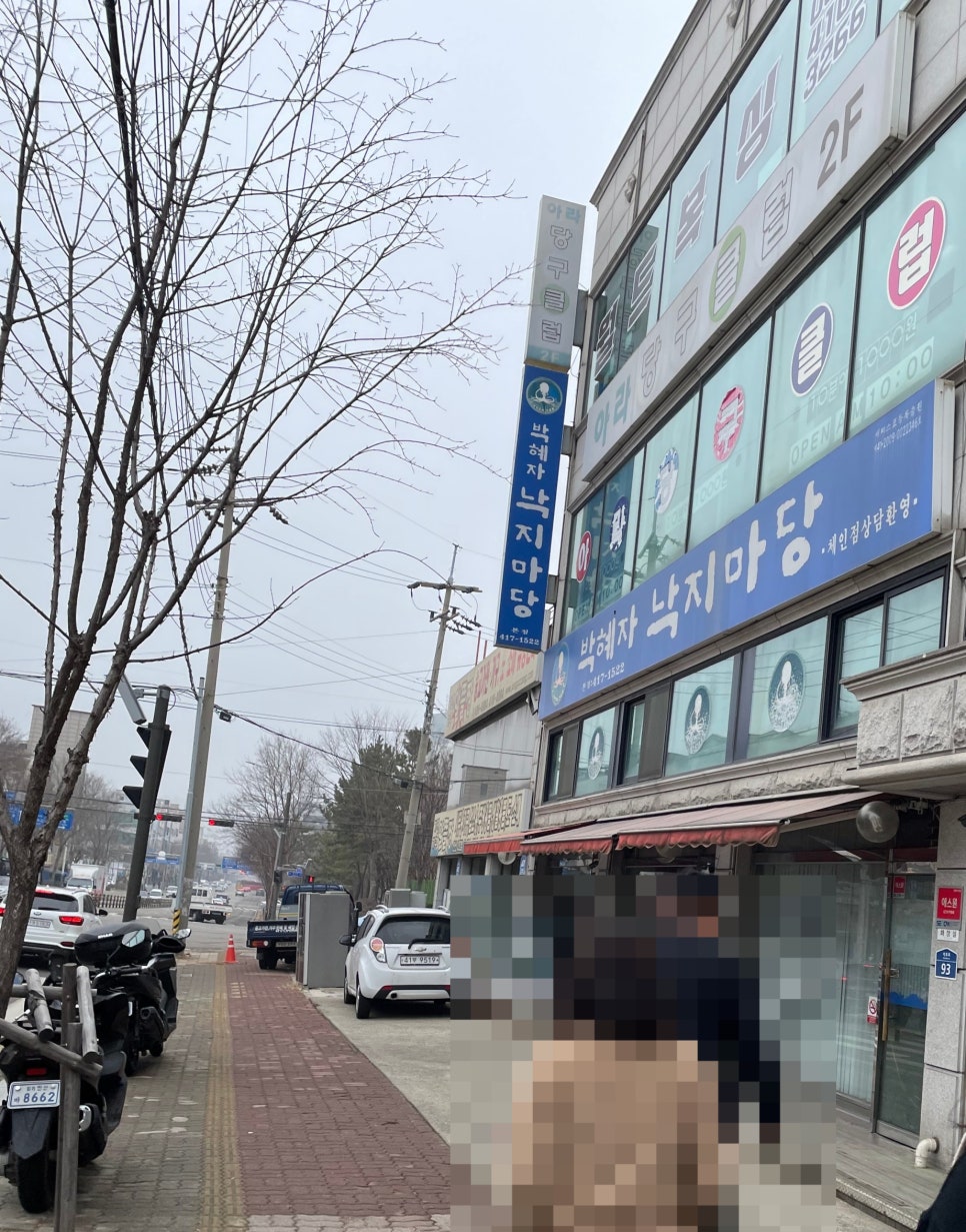 박혜자 낙지마당 이미지