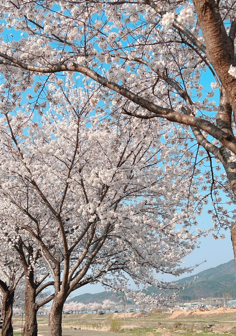 빅토리해빗커피로스터즈 이미지