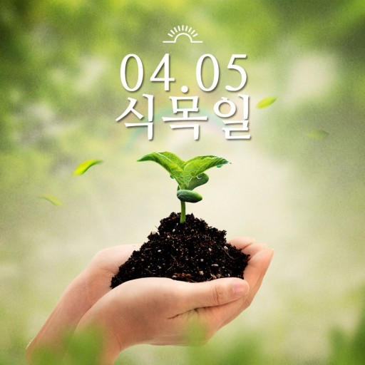 나무요양보호사교육원 이미지