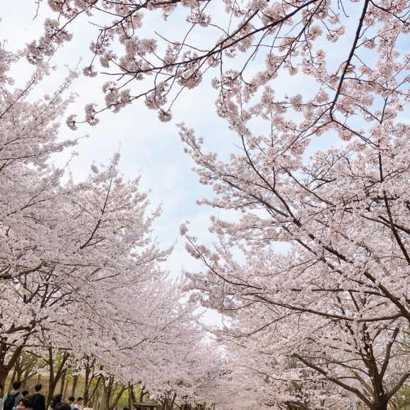 살롱드정인 이미지