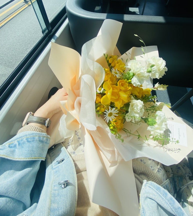 땅트플레르 이미지