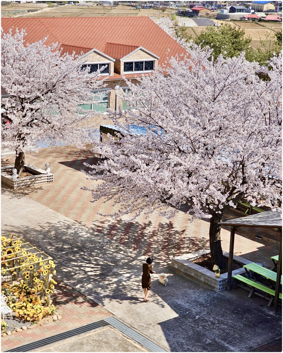 이색디자인 이미지