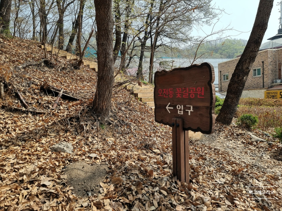 덕고개주유소 이미지