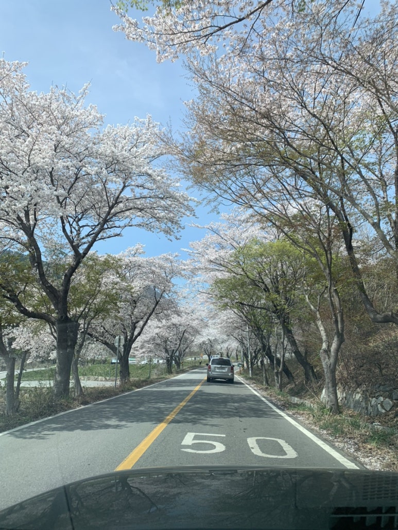 크로엔젤 담양 한재골점 이미지