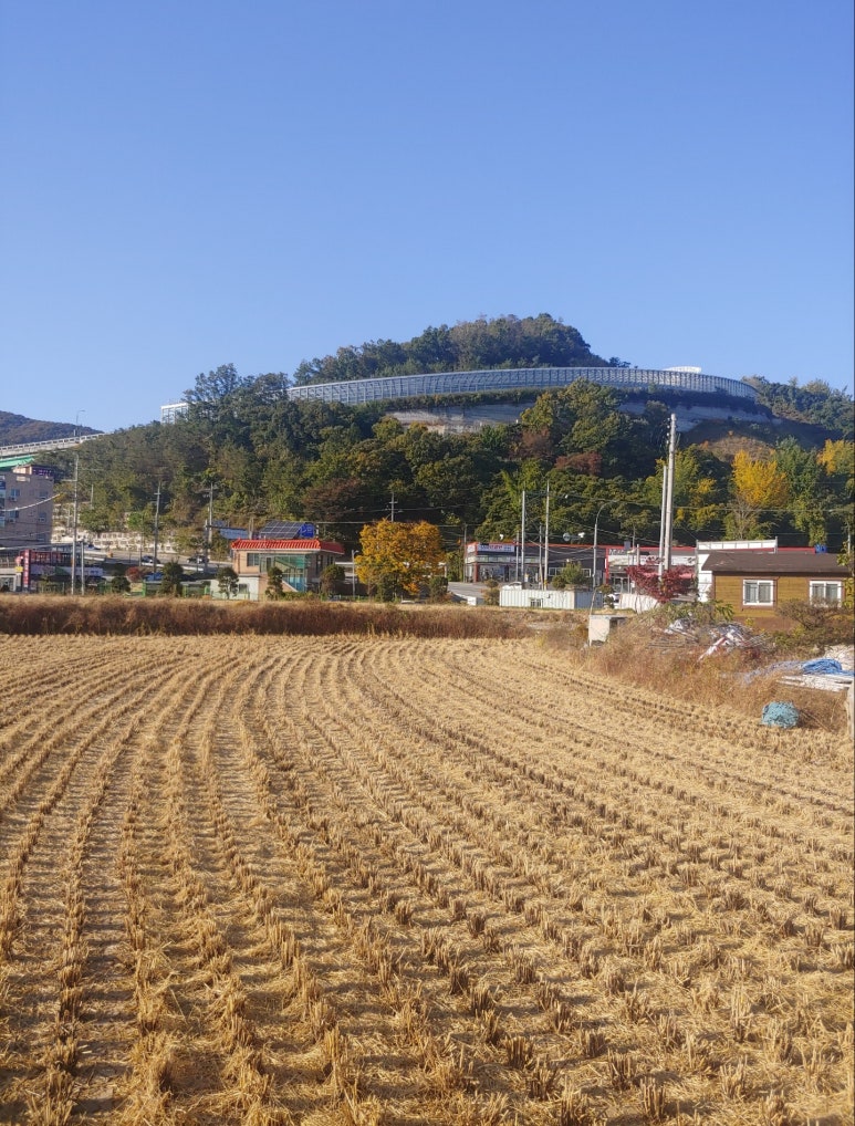 마성주유소 이미지