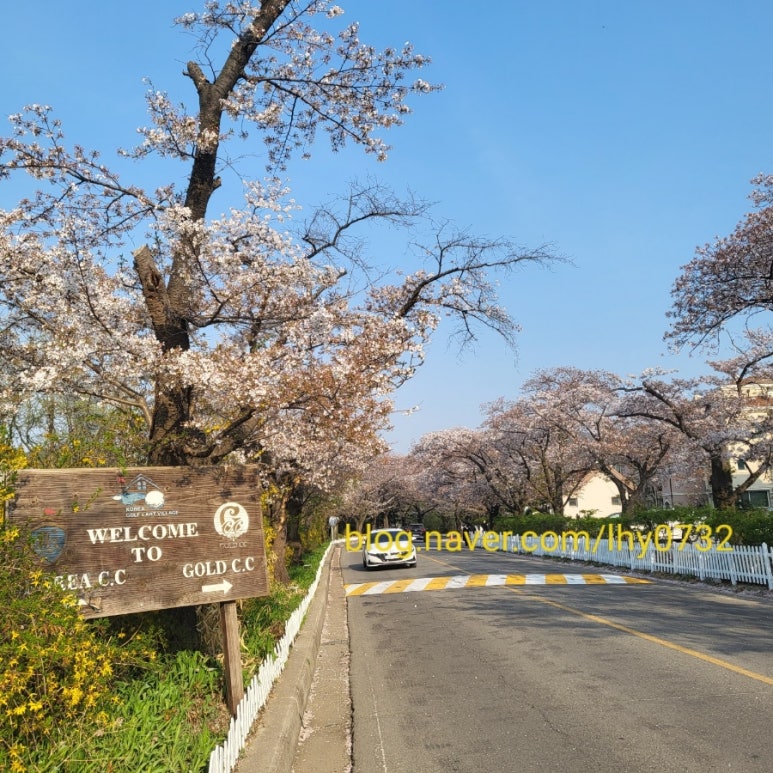 훼미리하우스콘도 이미지
