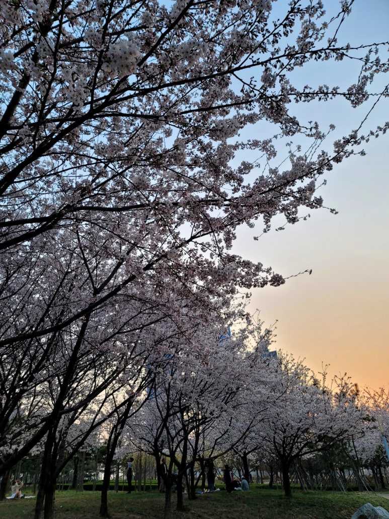 에그플화랑대점 이미지