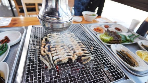 서파장어랜드 이미지