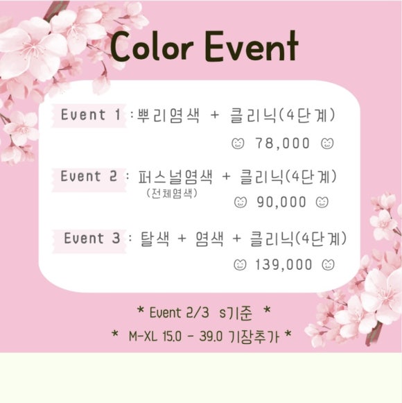 아이엘살롱 이미지