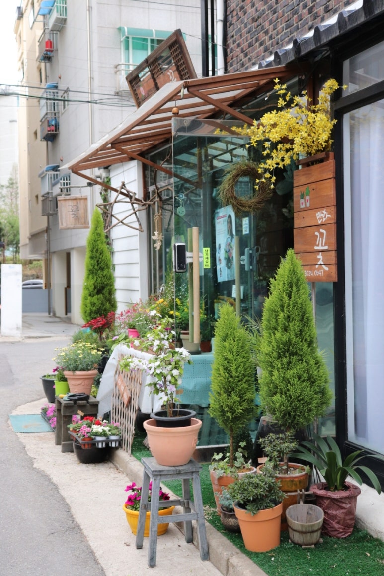 만화꽃방 이미지
