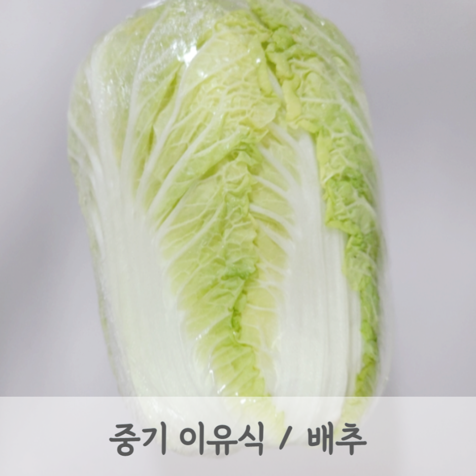 모도리베이비 이미지