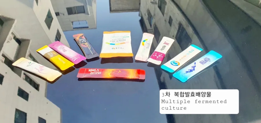 오장전자 이미지