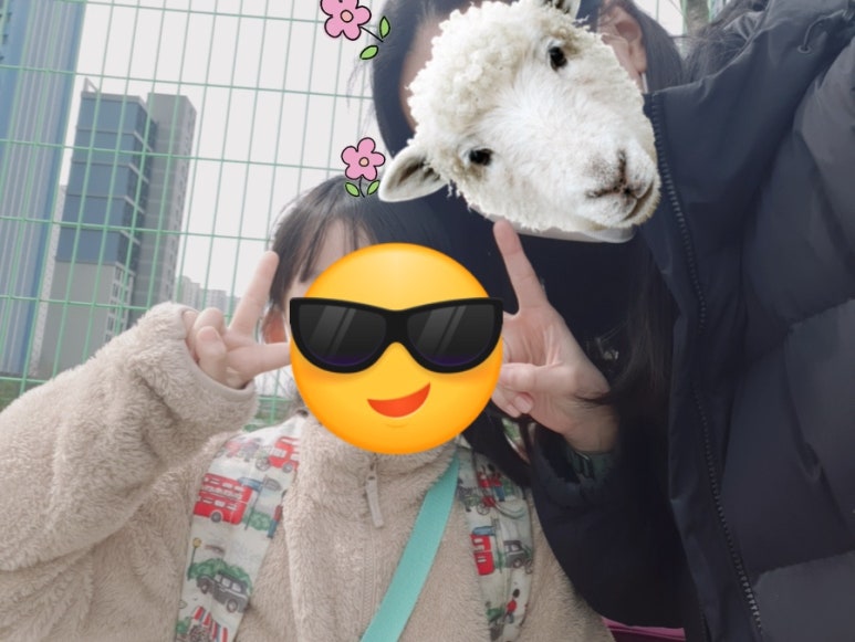 김쌤첼로 이미지