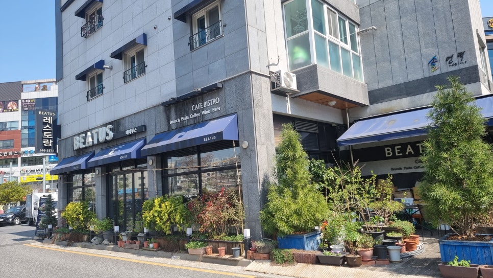 베아투스 이미지