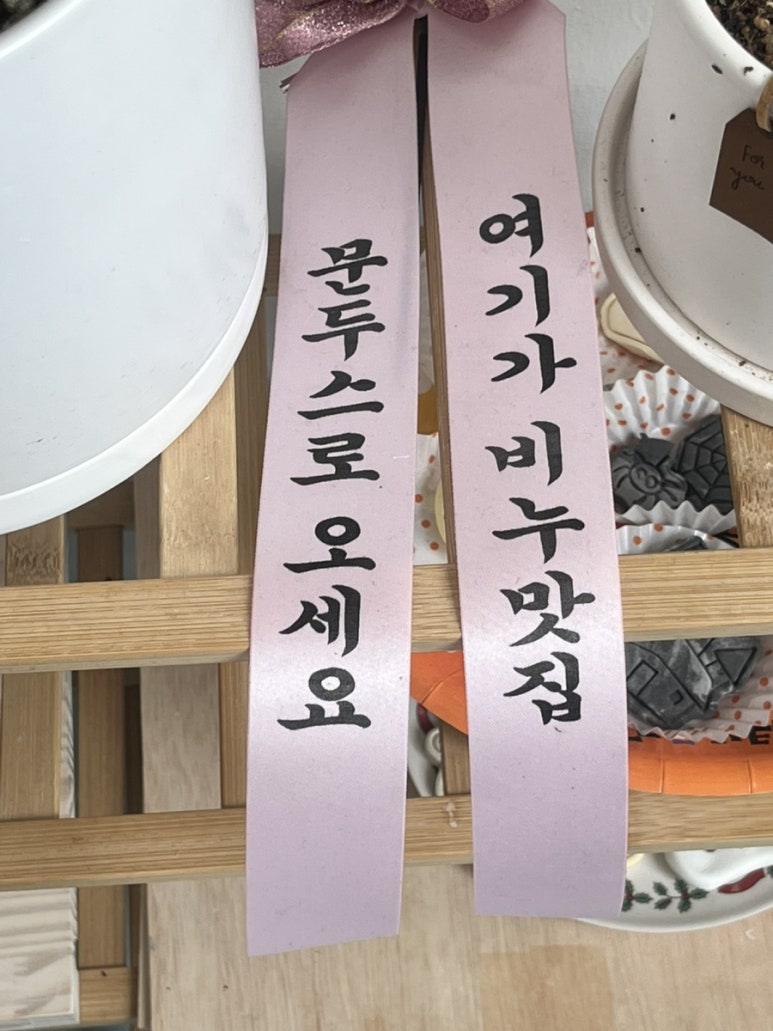 문두스(Mundus) 이미지