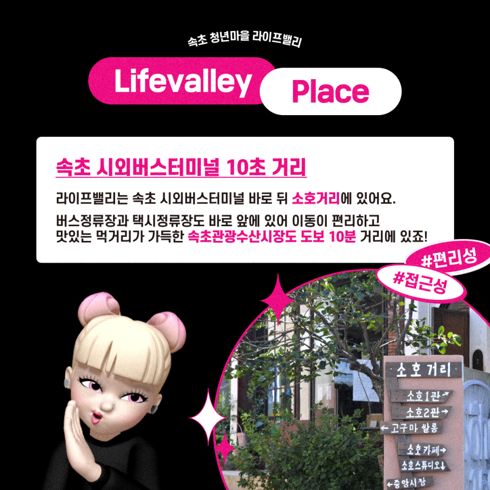 트리밸 이미지
